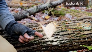 This Simple Trick Is a Must for Every Camp Firewood Survival Skills Bushcrafting [upl. by Wilde]