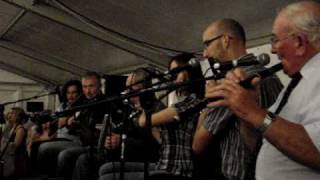 Tulla ceili band in Mill Marquee [upl. by Adlin]