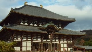 Todaiji Temple （東大寺） Nara City [upl. by Aicenad]