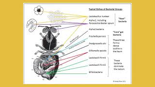 The Times They are a Changin Randy Oliver NY Bee Wellness [upl. by Elicul]