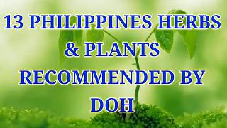 13 PHILIPPINES HERBS amp PLANTS RECOMMENDED BY DOH [upl. by Placida]