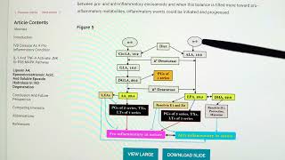 Liens glucides  douleurs [upl. by Giuseppe401]