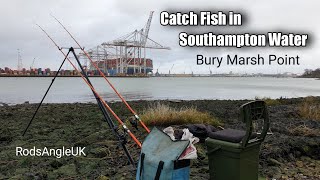 Catch fish in Southampton Water BURY MARSH [upl. by Keiryt454]