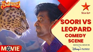 Soori vs Leopard Comedy Scene  ShivakarthikeyanSoori Comedy Scene  Seemaraja  Star Maa [upl. by Kcirtap]