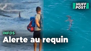 Un requin a semé la terreur sur ces plages des Canaries [upl. by Salomo]