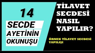 TİLAVET SECDESİ NASIL YAPILIR UYGULAMALI ANLATIM14 SECDE AYETİNİN TAMAMININ TECVİTLİ OKUNUŞU [upl. by Ahcrop]