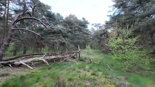 Nederland Zingt met natuurbeelden  deel 1 [upl. by Bozuwa828]