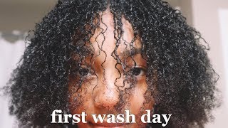 DIY STARTER MICROLOCS First Wash Day [upl. by Conni]