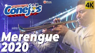 Merengue 2020  Internacionales Conejos [upl. by Elva]