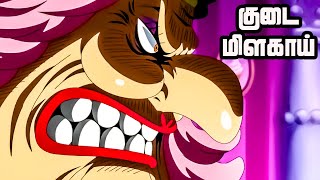 One Piece Series Tamil Review  A Fateful Confrontation  anime onepiece tamil  E8131 [upl. by Templa]