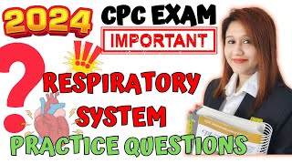 Respiratory System Practice Questions [upl. by Enairb307]