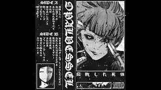 Opal Vessel  腐敗した死体 Barber BeatsVaporwave Full album [upl. by Giah45]