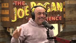 Joe Rogan Experience 2078  Duncan Trussell [upl. by Naejeillib]