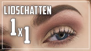 SO klappt es mit dem Lidschatten  Anfänger Guide  Lidschatten Tutorial Deutsch  Judy R [upl. by Aleik]