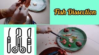 Fish Dissection with all details [upl. by Kiri]