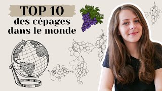 TOP 10 des cépages les plus plantés au monde 🌎 [upl. by Resarf]