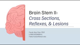 Brainstem Lesions  Farah Abul Rub  NEU 241 PAL review session [upl. by Tjader]