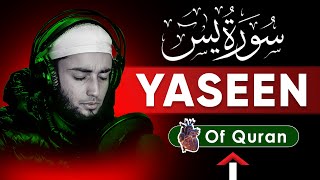 yasin surah beautiful voice  surah yasin  surah yasin sharif  surah al yasin  yasin surah [upl. by Enelyam38]