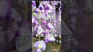 愛知県津島市の津島神社にあるフレンチレストラン 愛知グルメ 天王川公園 [upl. by Elahcim]