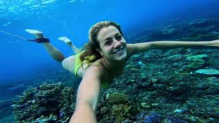 Catching the Perfect Wave in Fiji x GoPro [upl. by Adnoloy]