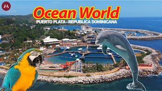 Aventura Inolvidable en Ocean World Puerto Plata Nado con Delfines y Snorkel con Tiburones [upl. by Abram]