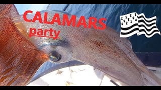 CALAMARS PARTY [upl. by Arbua225]