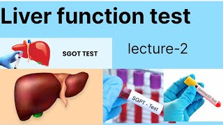 Liver function test lecture2  LFT Liver function test hindi main [upl. by Burr]