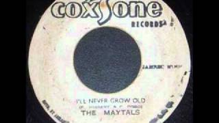 Ill Never Grow Old  The Maytals [upl. by Yrrek]