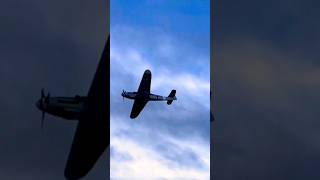 rc Bf109 scale rc warbird with real engine sound  shorts [upl. by Naehs]