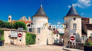 Chablis France 🇫🇷 wine chablis france [upl. by Eveivenej255]