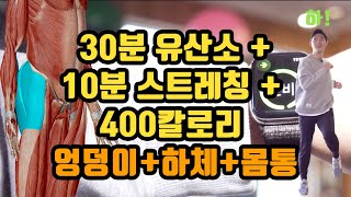 400칼로리30분유산소10분스트레칭하체 엉덩이 몸통 쫙쫙 [upl. by Leonelle]