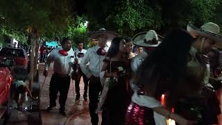 BODA TRADICIONAL EN APOZOLCO NAYARIT [upl. by Eisenberg398]