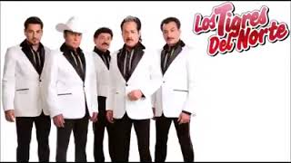 La Mesa del Rincón Tigres del Norte [upl. by Soloma18]