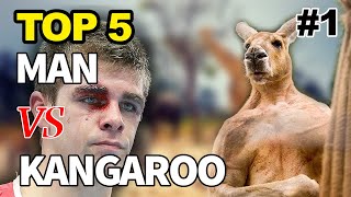 Kangaroo Fights Man  Kangaroo vs Human  Kangaroo Fight  Kangaru 😃 [upl. by Cosmo]