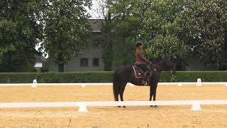 MDRESSUR Working Equitation Stadl Paura 52019 [upl. by Eimrots884]