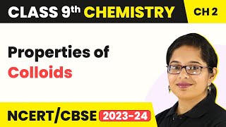 Properties of Colloids  Is Matter Around Us Pure  Class 9 Chemistry Chapter 2  202324 [upl. by Claudio]