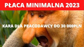 Płaca minimalna 2023  czy wiesz że pracodawcy grozi kara do 30 000 PLN [upl. by Etteniuq]