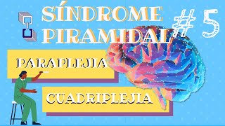 Síndrome Piramidal🩺 5  PARAPLEJIA Y CUADRIPLEJIA 👨🏻‍🦽👩🏻‍🦼 [upl. by Strader]