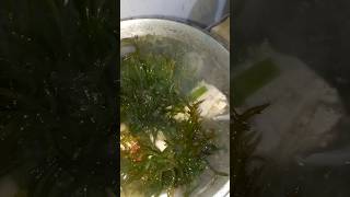 Tinola Level up with seaweeds guso [upl. by Gunning]