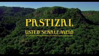 Usted Señalemelo  Pastizal Trailer Oficial [upl. by Moishe972]