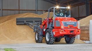 Weidemann – Radlader 4080LP Getreide aufschieben [upl. by Horn]