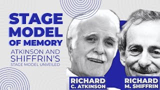 Atkinson and Shiffrins Stage model of Memory [upl. by Elletsirk]