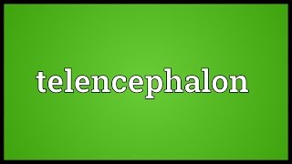 Telencephalon Meaning [upl. by Blake186]