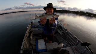 WHITING FISHING THE PASSAGE 2ND OCTOBER 2023 [upl. by Ariaic474]