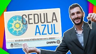 CEDULA AZUL 🚨 autorización para MANEJAR un auto [upl. by Rachele]