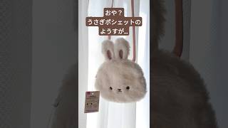 おや？ダイソーうさぎポシェットのようすが… 作ってみた 自作ぬい piyopicco ハンドメイド アレンジ [upl. by Rosecan40]