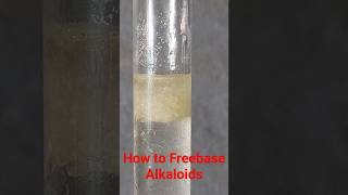 PEA Phenylethylamine HCl Freebase reaction [upl. by Llerdnek]