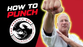 HOW TO PUNCH Kyokushin Karate The Phoenix Way [upl. by Sisely312]