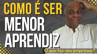 Como é ser menor aprendiz e como funciona o trabalho [upl. by Mcnutt]