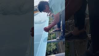 Vegetable greenhouse PVC film installation process [upl. by Corie]